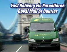 Fast Delivery